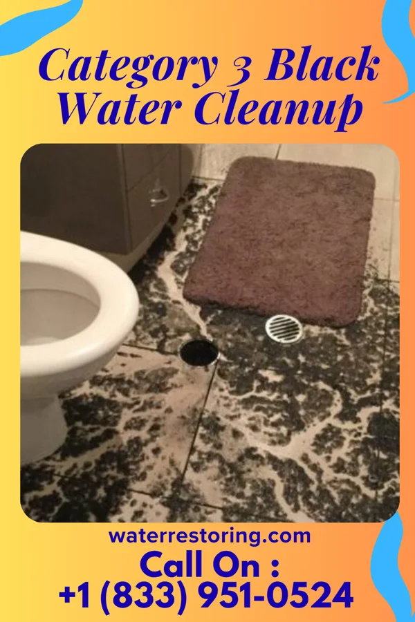 Category 3 Black Water Cleanup in Strawn, IL