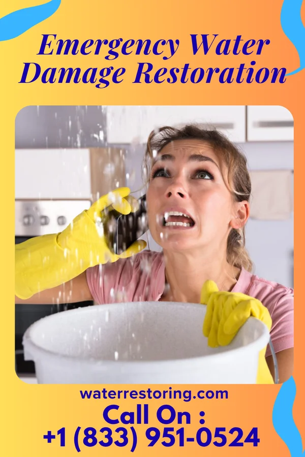Emergency Water Damage Restoration in Strawn, IL