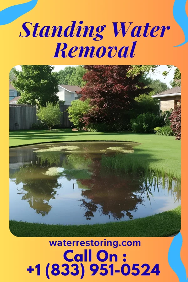 Standing Water Removal in Strawn, IL